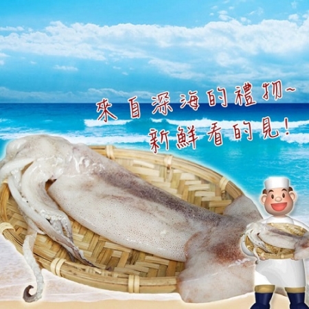 【賣魚的家】海味十足深海魷魚（350g±3%/2尾/包）2包組 共4尾