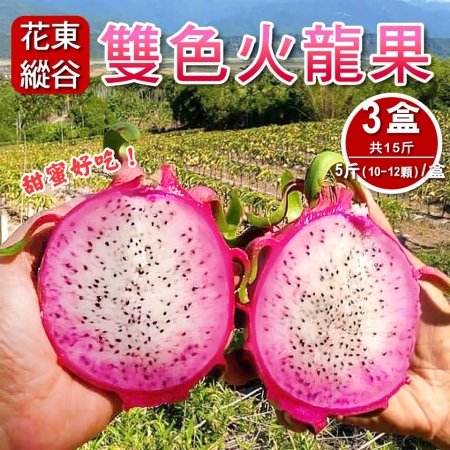 【預購-產地直送】花東縱谷特產雙色火龍果5斤10-12顆（x3盒）