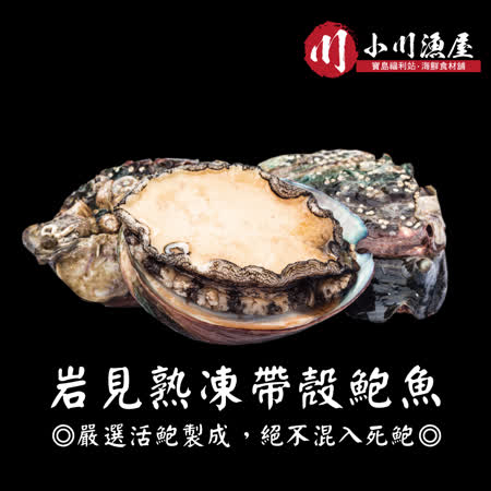 【小川漁屋】熟凍帶殼鮑魚（300g±10%/包/8~11顆）