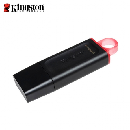 金士頓 Kingston 256G DataTraveler DTX USB3.2 高速隨身碟 （KT-DTX-256G）