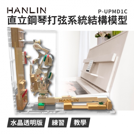 HANLIN-P-UPMD1C- 直立鋼琴打弦系統結構模型