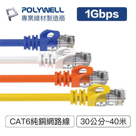 POLYWELL CAT6 高速網路線 1米 CAT.6 網路線 RJ45 福祿克認證 寶利威爾 台灣現貨