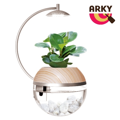 ARKY Herb City Pro 香草城市 進階版 馬達澆水x植物燈盆栽組（不含植物）