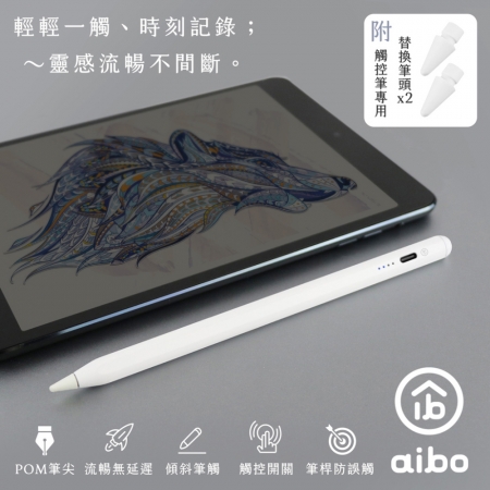 aibo AP10 防誤觸傾斜角磁吸iPad觸控筆（附替換筆頭x2）