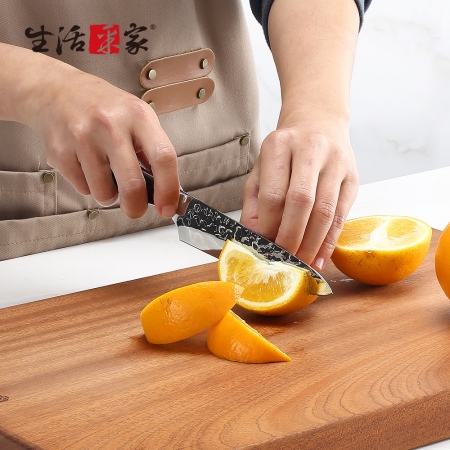【SHCJ生活采家】德國鋼錘紋鍛造5吋水果刀#65001