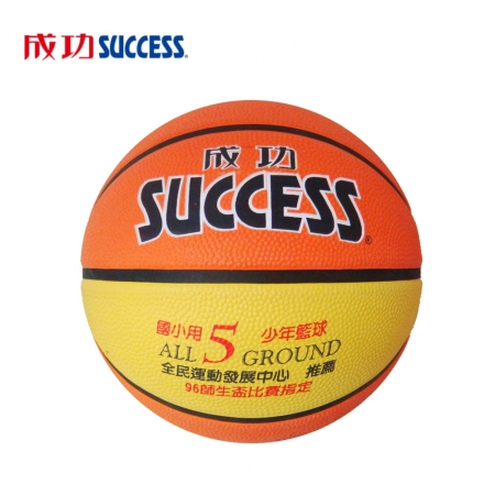 成功 國小專用 深溝少年籃球 S1150（附球網、球針）