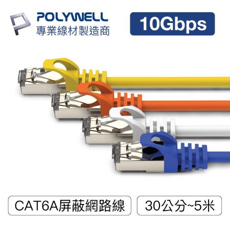 POLYWELL CAT6A 高速網路線 3米 10Gbps 網路線 RJ45 福祿克認證 寶利威爾 台灣現貨