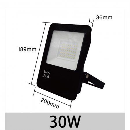 【青禾坊】 歐奇OC 30W LED 戶外防水投光燈 投射燈-2入（超薄 IP66投射燈 CNS認證）