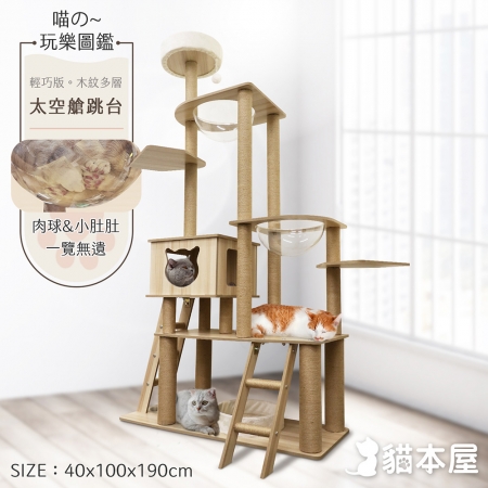 貓本屋 挑高雙太空艙 雙爬梯多層貓跳台（190cm）