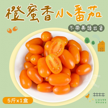 【禾鴻】橙蜜香小番茄禮盒5斤x1盒（不帶蒂頭出貨）