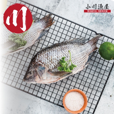 【小川漁屋】精選台灣鯛魚（250~300g/尾） 