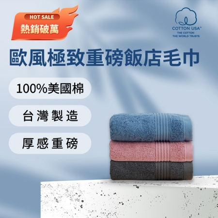 【HKIL-巾專家】MIT歐風極緻厚感重磅飯店彩色毛巾（3色任選）