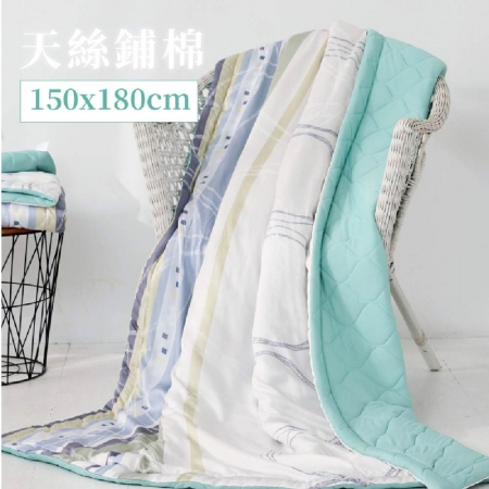 ELVIS 愛菲斯-天絲舖棉冰沙被-騎士