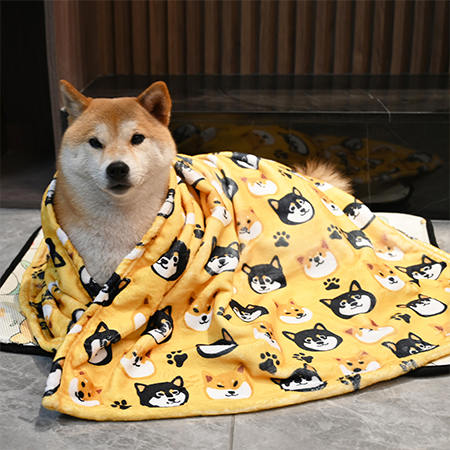 柴犬系列法蘭絨小毛毯 柴犬大學 柔軟毯子 柴犬周邊 柴犬小物 柴柴 柴犬免運 