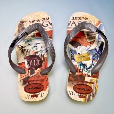 【哈瓦士havaianas】 巴西人字拖  男款 Harry potter/嘿美