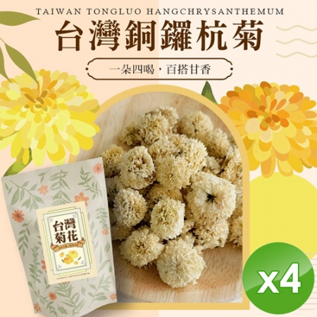 【cammie】台灣銅鑼杭菊（10g/包）x4包