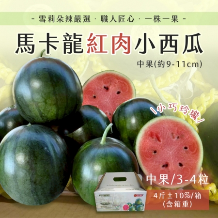 【雪莉朵辣嚴選】馬卡龍 紅肉小西瓜 中果（3-4粒）4斤箱