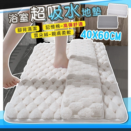 【QiMart】雲朵絨厚款柔軟吸水地墊（2色任選）