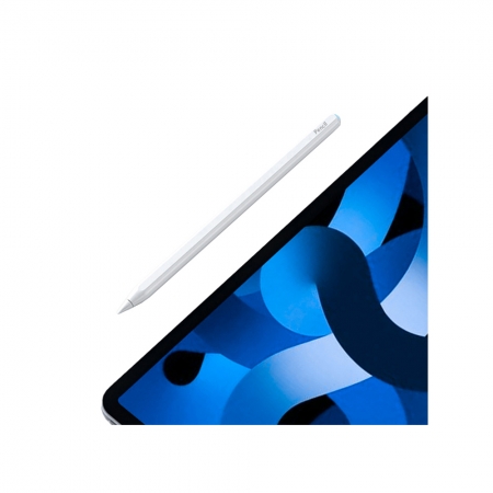 Stylus Pen C10 iPad 專用無線充電觸控筆（套裝版）