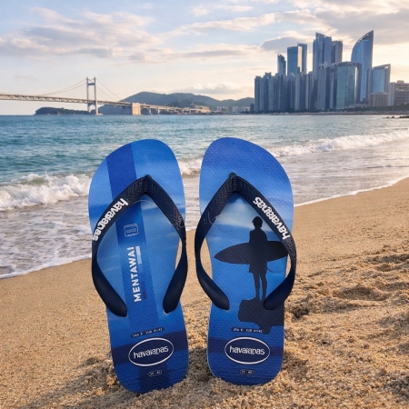 【哈瓦士havaianas】 巴西人字拖  男款 Top Surfer/明打威（藍）