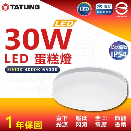 【TATUNG 大同】單入組 30W 蛋糕LED吸頂燈 防水IP54 廁所燈 玄關燈 陽台燈	