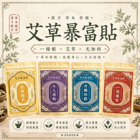 【Sheng Wen梁時】艾草暴富貼 | 艾草一條根精油貼布 | 漢方養護 一貼舒適全身