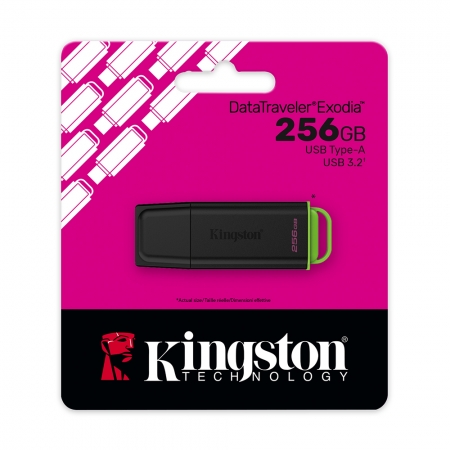 金士頓 DataTraveler Exodia DTXG2 256G USB 3.2 Gen1 隨身碟（KT-DTXG2-256G）