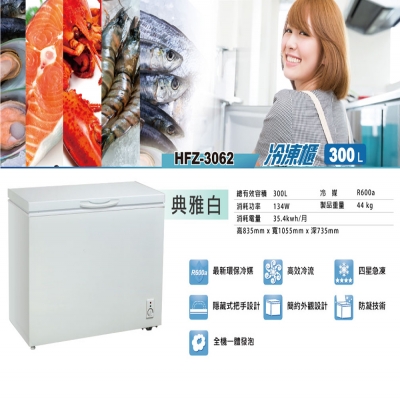 HERAN禾聯 HFZ-3062 300L冷凍櫃
