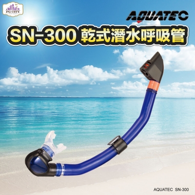 AQUATEC SN-300 乾式潛水呼吸管＋MK-350 無框貼臉潛水面鏡（黑色矽膠） 優惠組 PG CITY