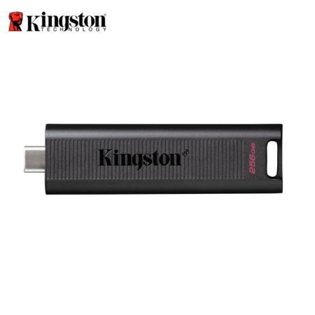 Kingston 金士頓 Data Traveler Max 256GB Type-C 高速隨身碟 （KT-DTMAX-256G）
