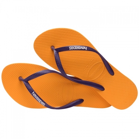 【哈瓦士havaianas】Logo popup/黃紫 巴西 人字拖 哈瓦士 女款
