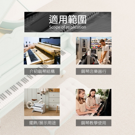 HANLIN-P-GMD1C平台演奏鋼琴打弦系統結構模型