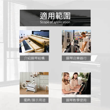 HANLIN-P-UPMD1C- 直立鋼琴打弦系統結構模型
