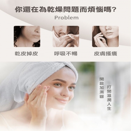 免掀蓋雙頭噴霧微分子水氧機