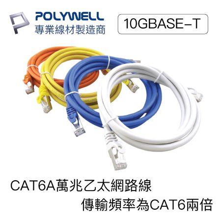 POLYWELL CAT6A 高速網路線 1米 10Gbps 網路線 RJ45 福祿克認證 寶利威爾 台灣現貨