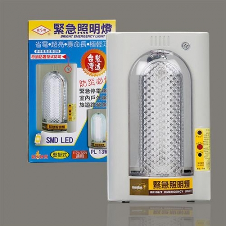 【威電WEITIEN】LED緊急照明燈 - TG-206L 