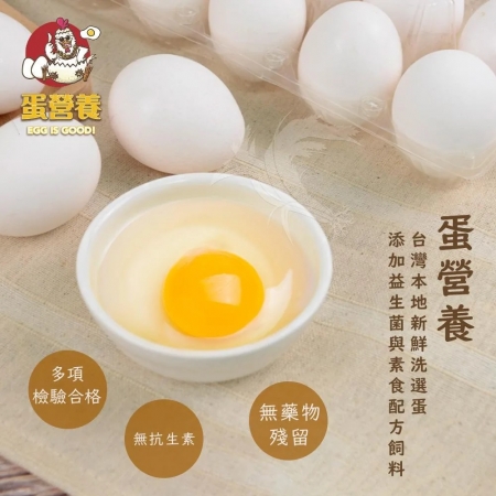 【蛋營養】本土冷藏新鮮洗選雞蛋x1箱（10入x12盒/箱）