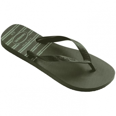 【哈瓦士havaianas】 巴西人字拖  男款 Top basic/墨綠
