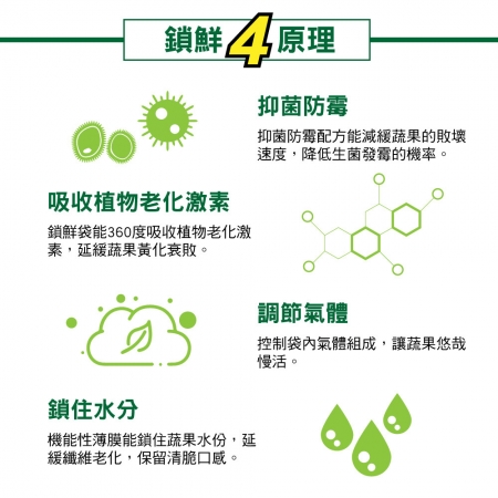 USii優系 高效鎖鮮袋-夾鏈袋 L （3入組）