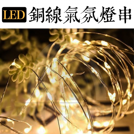 E.C outdoor 插頭式銅線氣氛燈燈串LED 10米100燈