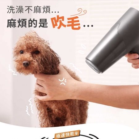 JWAY 寵物溫控負離子吹乾機（JY-PD01/吹水機/寵物美容/吹風機/烘毛機/低噪音） 