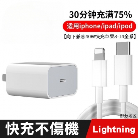 蘋果充電器PD50W快充頭附1.5m充電線（Lightning/Type-C任選）（裸裝）