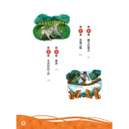 【目川文化】童書｜繪本｜故事書｜影響孩子一生的奇幻名著系列｜叢林奇譚