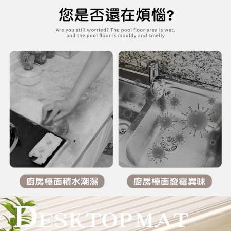 【QiMart】獨家設計款珪藻土萬用吸水軟墊（2款任選）