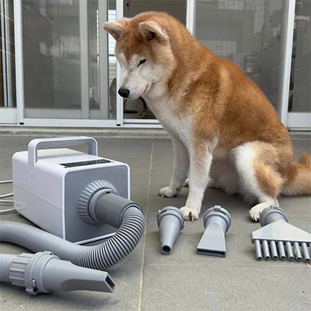 柴犬大學 吹水機 寵物吹水機 寵物吹風機 寵物美容 柴犬必備 大風量 110v 低噪音 大風量 附4吹頭