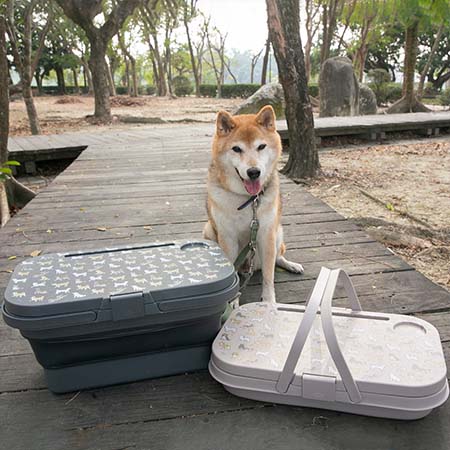 柴犬大學 滿滿柴多功能折疊野餐盒 摺疊野餐籃 手提野餐籃 摺疊桌 摺疊收納籃 機車置物籃 露營必備 野餐必備 野餐用品