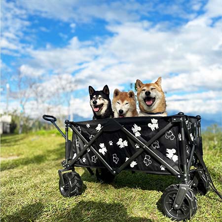 柴犬大學 柴犬越野版聚攏型露營推車 摺疊推車 手拉車 購物車 寵物推車 露營必備 野餐 四輪推車 柴柴 柴犬免運