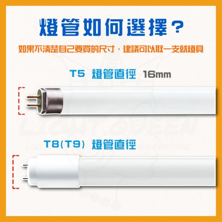 【TATUNG 大同】20入組 T8 4尺 白光 LED燈管鋁支架套組 鋁支架 支架燈 串接燈（內附串接線 白光燈管）