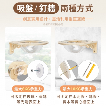 貓本屋 吸盤/釘牆兩用 實木太空艙貓跳台貓窩