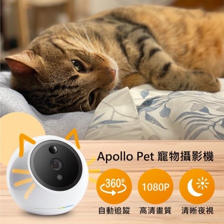 【 Amaryllo 愛瑪麗歐 】 Apollo Pet 360度智慧寵物攝影機